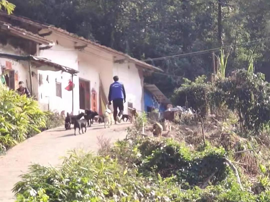 阳春房地一体项目纪实丨无悔青春多砥砺，，，最是奋斗感人心