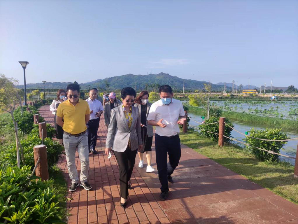 省生态修复协会轮值会长单位尊龙官方网站集团带队赴汕尾全域土地整治军民融合试点项目调研