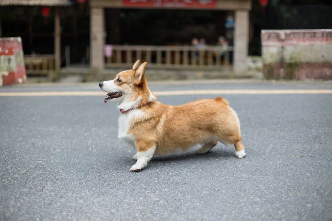 再见，，，，，我的老朋侪