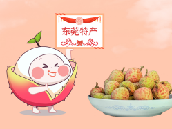 漫话尊龙官方网站丨一颗有“故事”的荔枝！