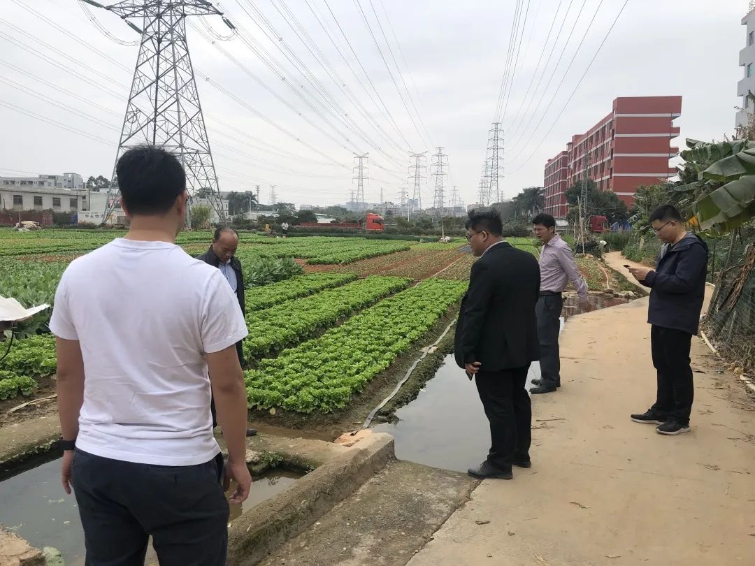助力墟落振兴，，，，，尊龙官方网站一直在起劲！
