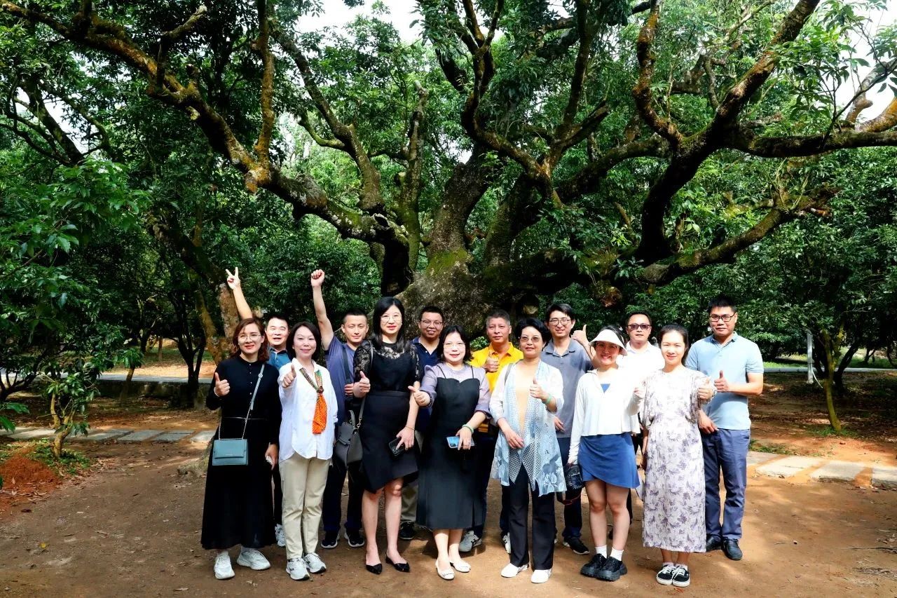 尊龙官方网站集团作为省领土空间生态修复协会轮值会长带队调研粤西全域土地综合整治事情