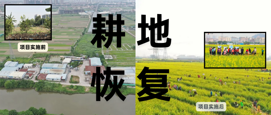 耕地；；；；び刖蒙す踩凇甘泻窠终蛩谏缜读继锵钅扛鼗指从氤窍缛诤系牧⒁焓导