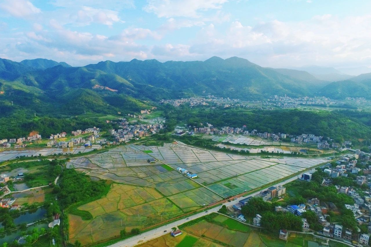 尊龙官方网站集团丨“百万万工程”显实效：云浮罗定泗纶镇以全域土地综合整治为抓手，，绘就墟落振兴新画卷