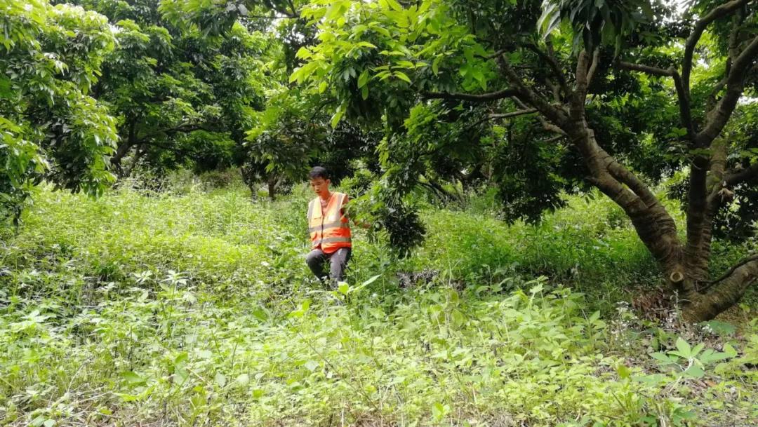 项目走访系列（四）：“与天斗、与地斗、与人斗其乐无限”——尊龙官方网站三调项目采访-尊龙官方网站控股集团