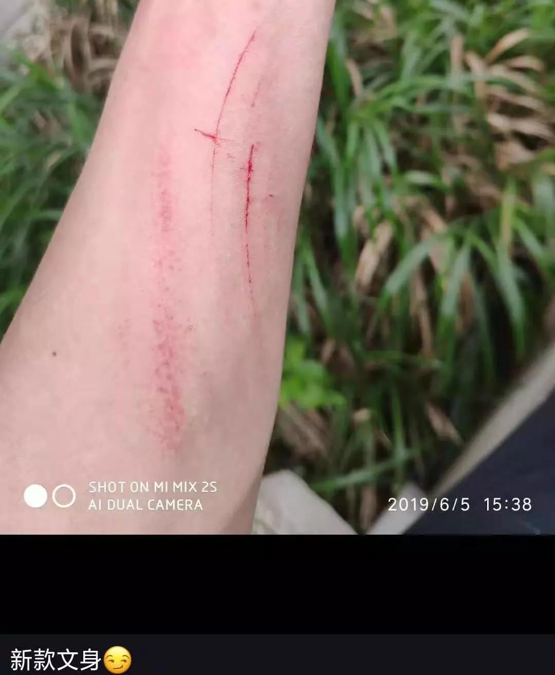 惠州三门岛项目纪实丨人生没有白走的路，，每一步都算数！-尊龙官方网站控股集团