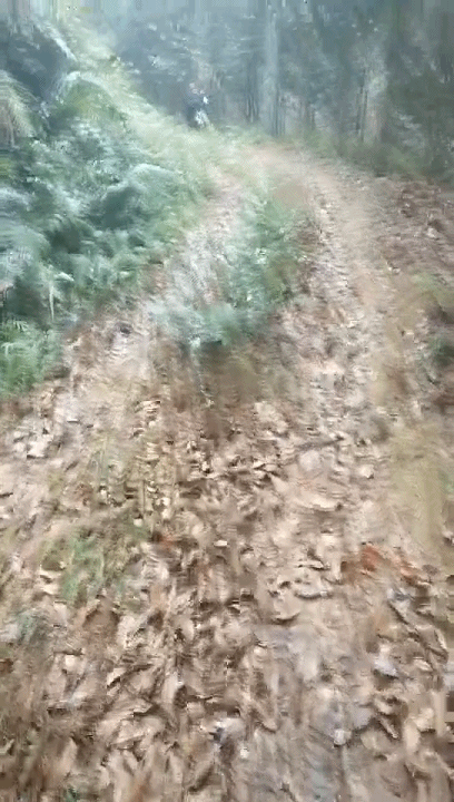 阳春房地一体项目纪实丨无悔青春多砥砺，，，最是奋斗感人心-尊龙官方网站控股集团
